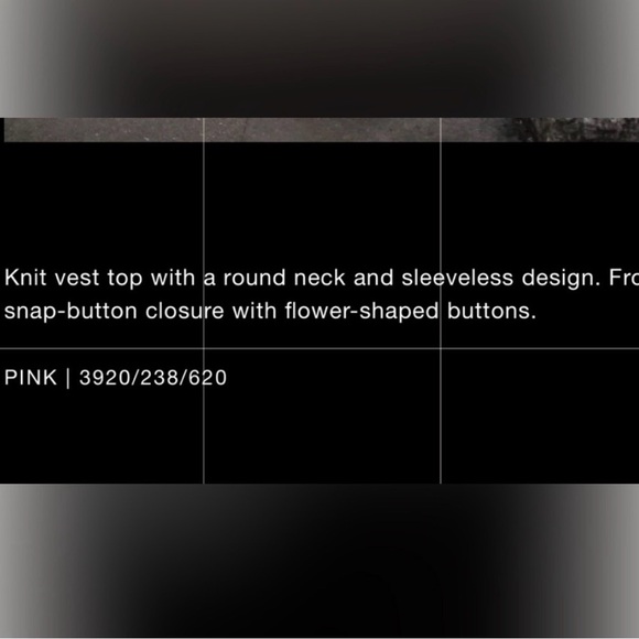 Blogger Fave!  Zara Pink Flower Snap Button Knit Vest Top Floral - Picture 11 of 12